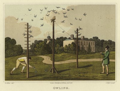 Baykuş (kromolitho) by Henry Thomas Alken